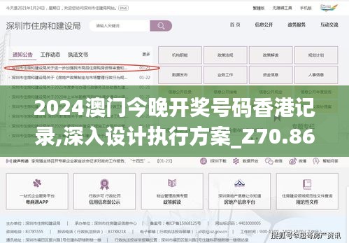 2024澳门今晚开奖号码香港记录,深入设计执行方案_Z70.861-4