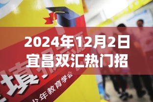 宜昌双汇热门招聘全景解析，职场人的新机遇与挑战在眼前展开