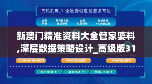 新澳门精准资料大全管家婆料,深层数据策略设计_高级版31.396-9