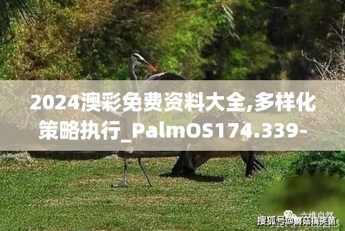 2024澳彩免费资料大全,多样化策略执行_PalmOS174.339-7