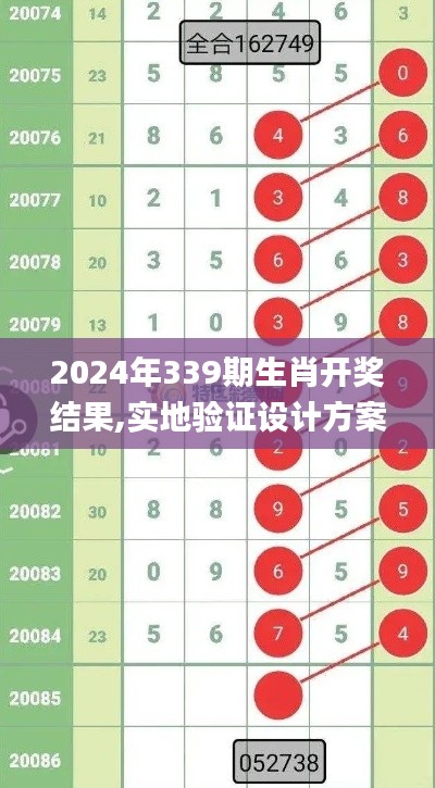 2024年339期生肖开奖结果,实地验证设计方案_复刻版191.392-5
