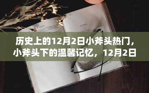 12月2日小斧头下的温馨记忆，特殊日常中的温情故事