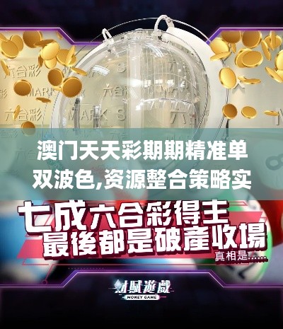 澳门天天彩期期精准单双波色,资源整合策略实施_精装款50.735-5