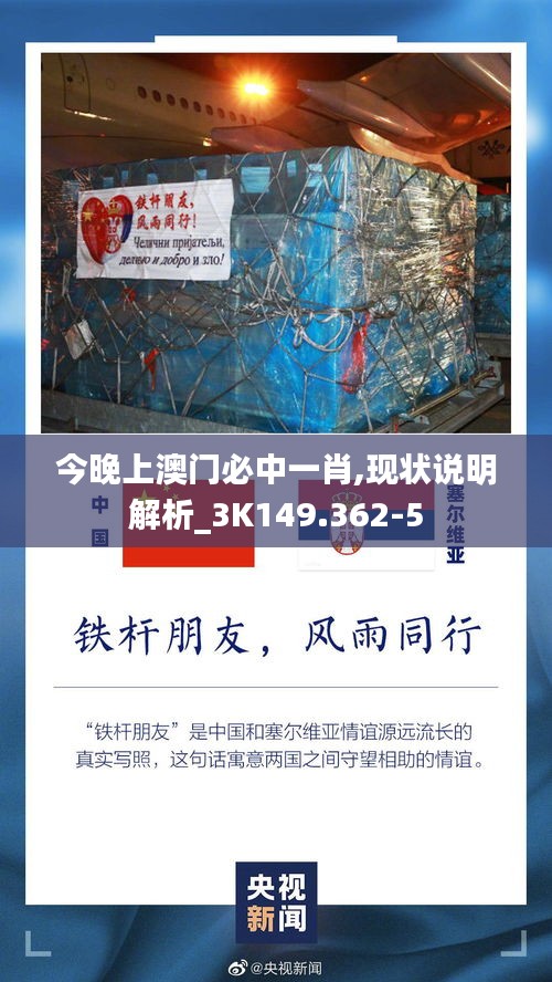 今晚上澳门必中一肖,现状说明解析_3K149.362-5