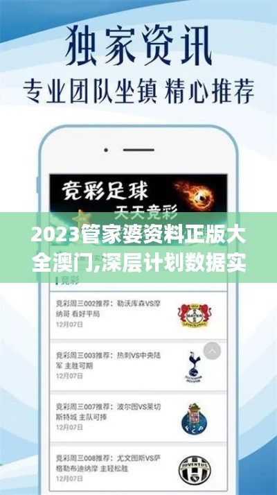 2023管家婆资料正版大全澳门,深层计划数据实施_工具版89.767-1