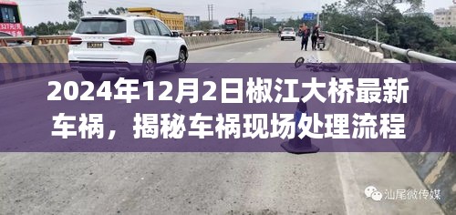 揭秘椒江大桥车祸现场处理流程，应对突发车祸事件的指南（2024年最新案例）