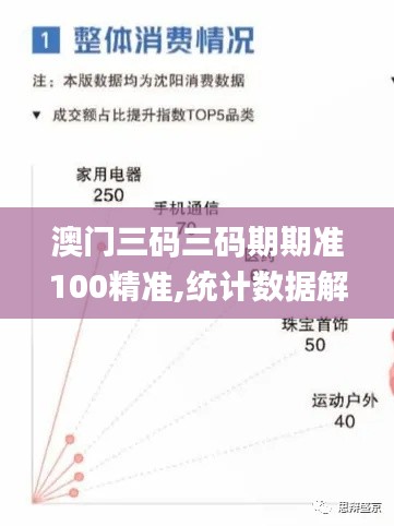 澳门三码三码期期准100精准,统计数据解释定义_6DM92.370-3