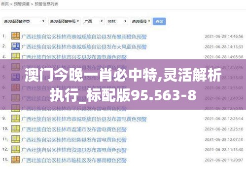 澳门今晚一肖必中特,灵活解析执行_标配版95.563-8
