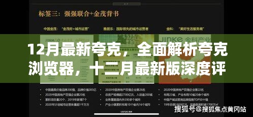 深度评测与介绍，十二月最新版夸克浏览器全面解析