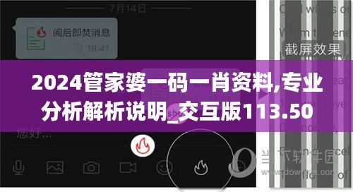 2024管家婆一码一肖资料,专业分析解析说明_交互版113.507-2