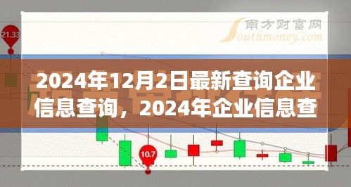 揭秘企业信息查询新篇章，背景、事件与影响（2024年最新进展）