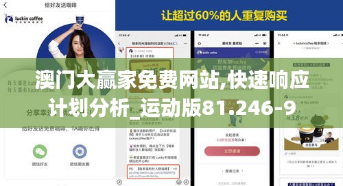 澳门大赢家免费网站,快速响应计划分析_运动版81.246-9