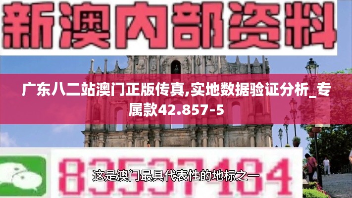 广东八二站澳门正版传真,实地数据验证分析_专属款42.857-5