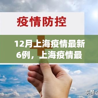 上海新增确诊病例深度解析，最新疫情动态与背后因素探讨