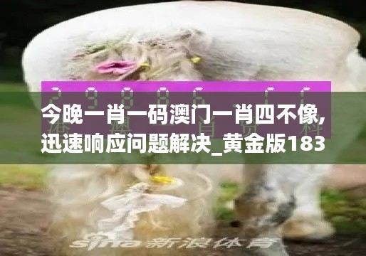 今晚一肖一码澳门一肖四不像,迅速响应问题解决_黄金版183.754-2