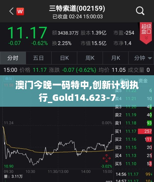 澳门今晚一码特中,创新计划执行_Gold14.623-7