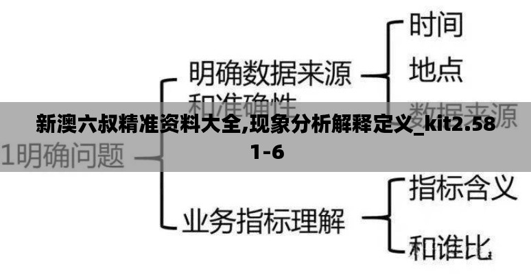 新澳六叔精准资料大全,现象分析解释定义_kit2.581-6