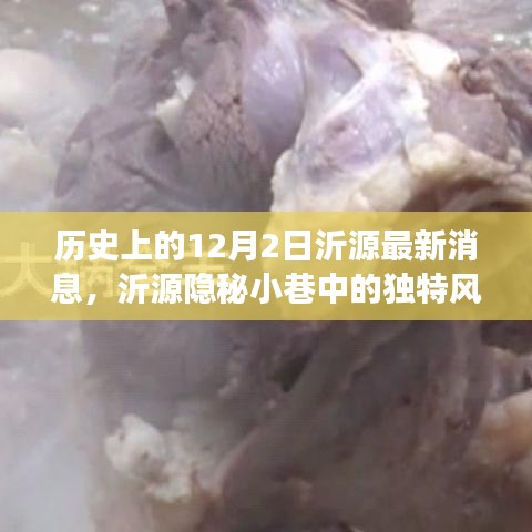 沂源隐秘小巷的独特风味，历史与美食交融的12月最新消息