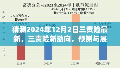 三责险未来动向预测与展望，2024年最新趋势分析（时间戳，12月2日）