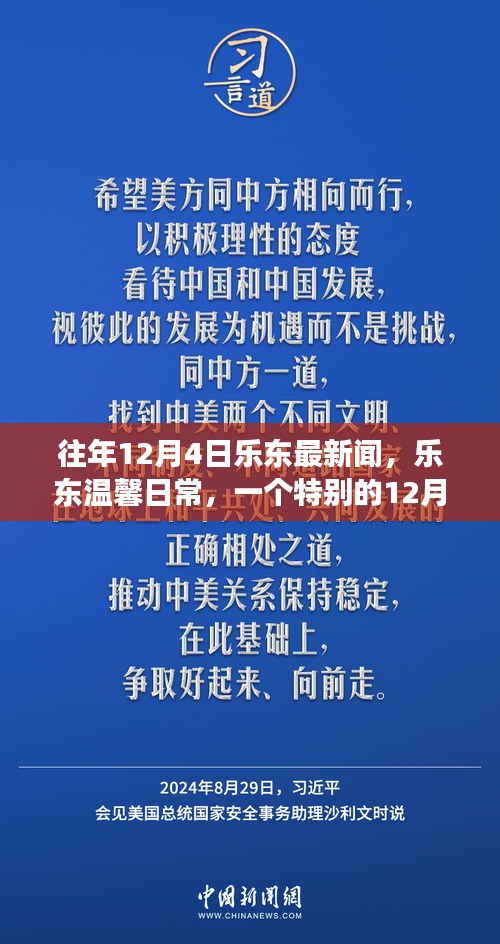 乐东温馨日常，特别的12月4日趣事时光回顾