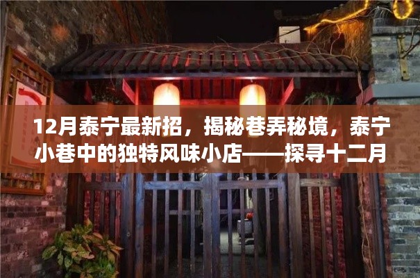 揭秘泰宁小巷秘境，十二月最新魅力招探之旅的小店风情