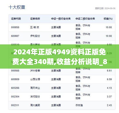 2024年正版4949资料正版免费大全340期,收益分析说明_8DM95.937-3