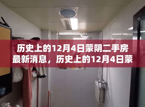 历史上的12月4日蒙阴二手房最新消息，全面指南与详细步骤解读