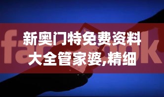 新奥门特免费资料大全管家婆,精细化计划执行_创意版43.455-7