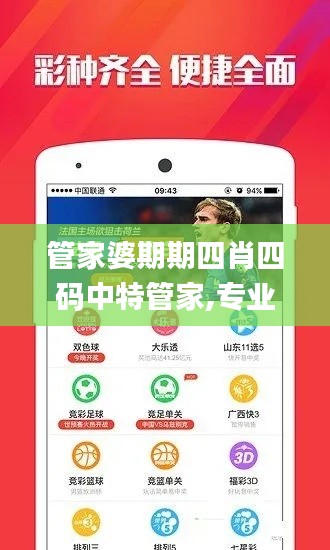 管家婆期期四肖四码中特管家,专业说明评估_T93.299-9