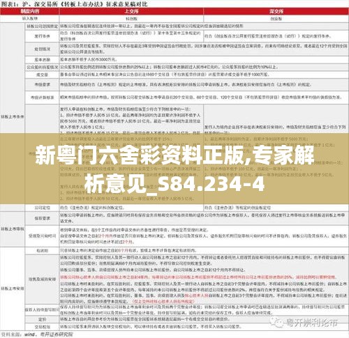 新粤门六舍彩资料正版,专家解析意见_S84.234-4