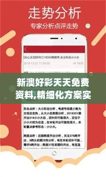 新澳好彩天天免费资料,精细化方案实施_创新版86.924-9