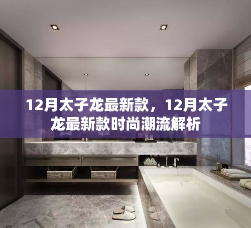 12月太子龙最新款时尚潮流解析，引领潮流前沿的时尚新品