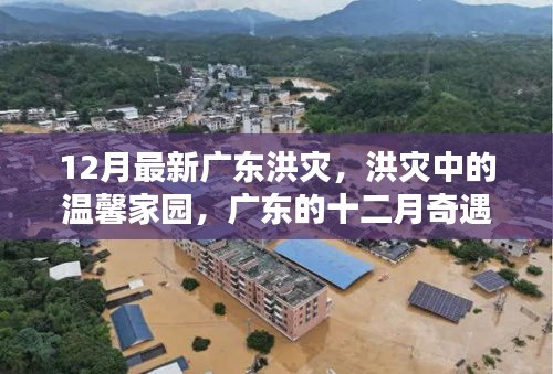 广东洪灾下的温馨家园与奇遇记