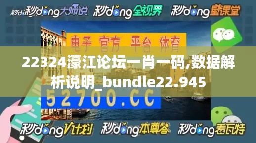 22324濠江论坛一肖一码,数据解析说明_bundle22.945