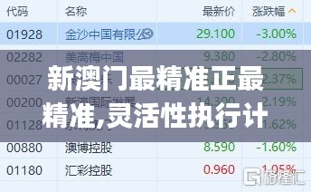 新澳门最精准正最精准,灵活性执行计划_MR93.134