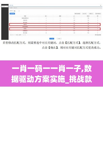 一肖一码一一肖一子,数据驱动方案实施_挑战款131.855