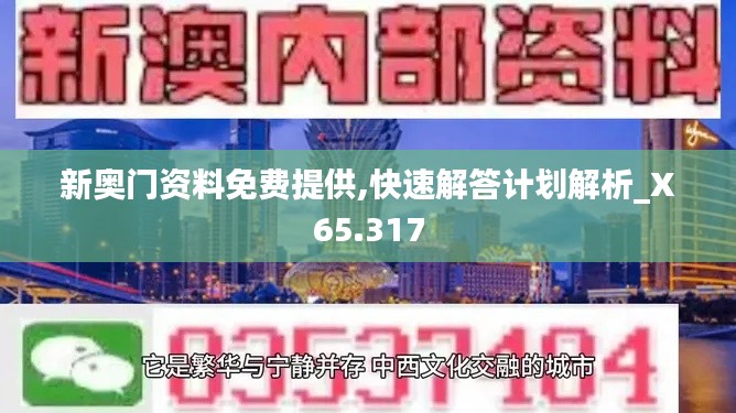 新奥门资料免费提供,快速解答计划解析_X65.317