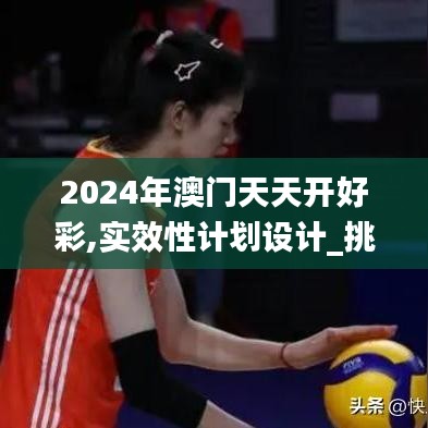 2024年澳门天天开好彩,实效性计划设计_挑战款94.188