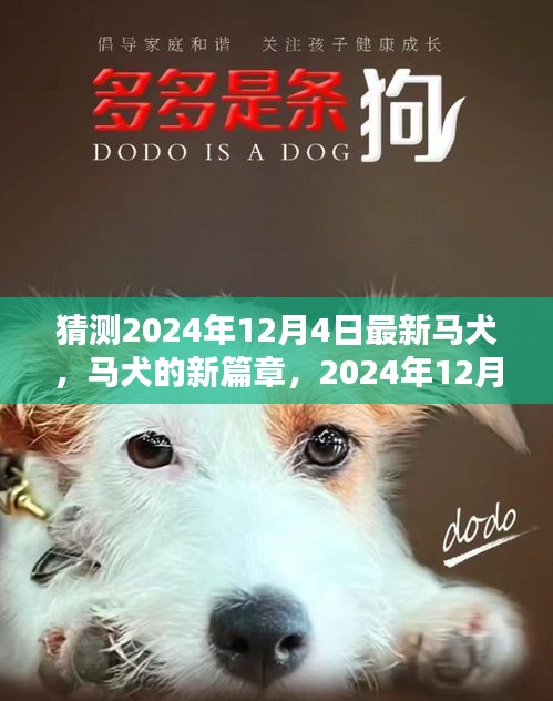 2024年12月4日马犬新篇章，温馨奇遇与展望