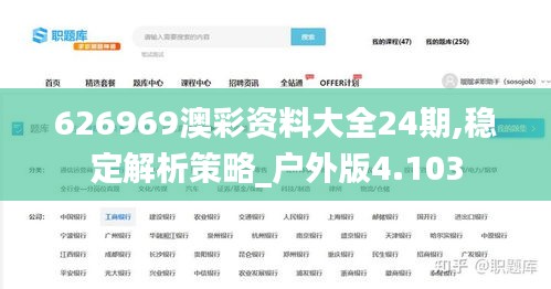 626969澳彩资料大全24期,稳定解析策略_户外版4.103