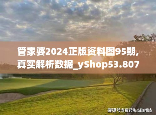 管家婆2024正版资料图95期,真实解析数据_yShop53.807