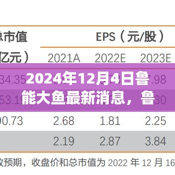 鲁能大鱼跃新篇，开启学习之旅的最新鼓舞消息（2024年12月4日）