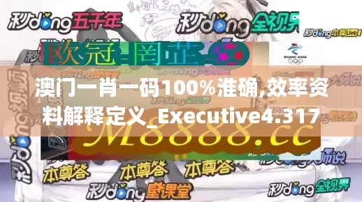 澳门一肖一码100%淮确,效率资料解释定义_Executive4.317