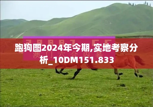 跑狗图2024年今期,实地考察分析_10DM151.833