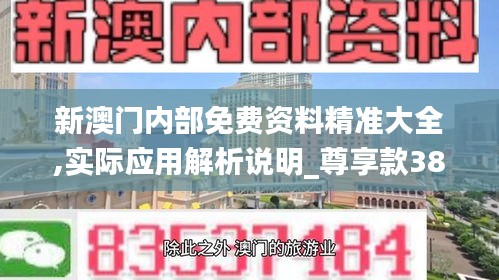 新澳门内部免费资料精准大全,实际应用解析说明_尊享款38.319