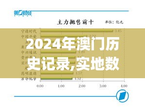 2024年澳门历史记录,实地数据评估策略_XP132.238