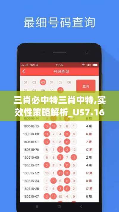 三肖必中特三肖中特,实效性策略解析_U57.167