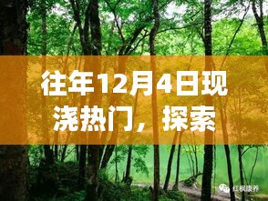 探索自然秘境，寻找内心宁静与平和的12月4日现浇之旅