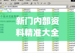 新门内部资料精准大全,精细方案实施_FHD版44.658