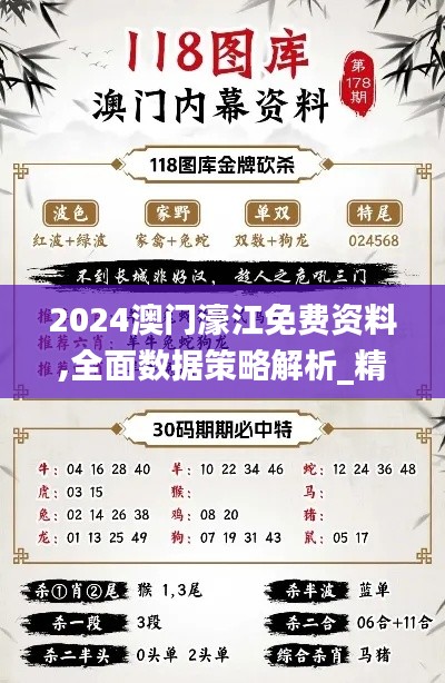 2024澳门濠江免费资料,全面数据策略解析_精英版37.991